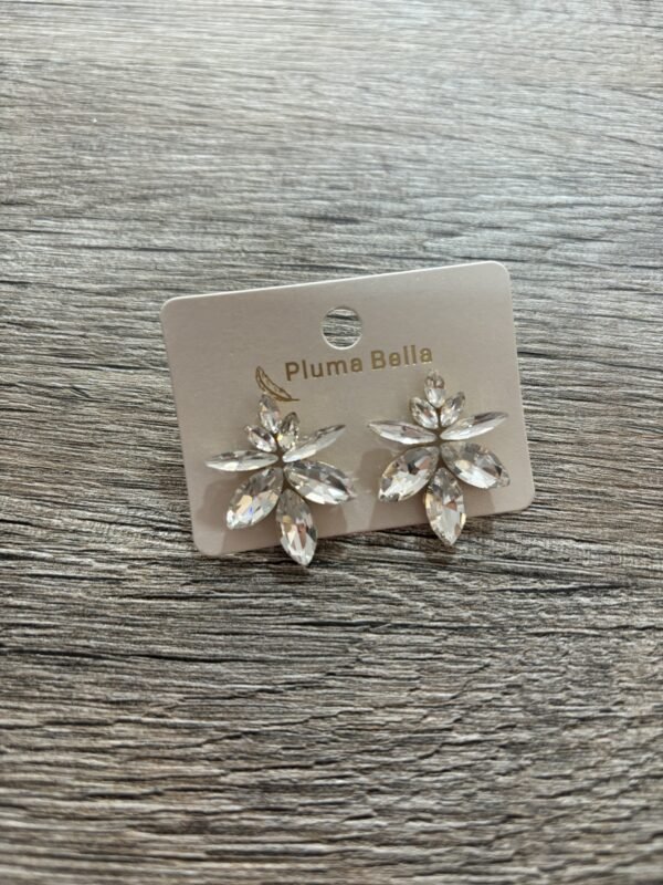 Pendientes c